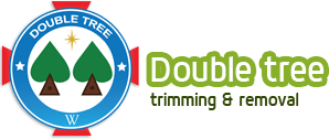 Double Tree Removal Services